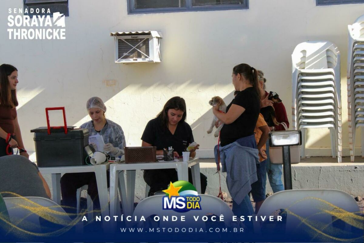 Imagem da Galeria